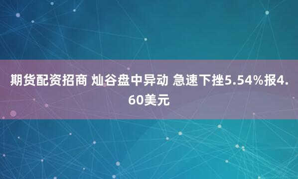 期货配资招商 灿谷盘中异动 急速下挫5.54%报4.60美元