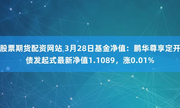 股票期货配资网站 3月28日基金净值：鹏华尊享定开债发起式最新净值1.1089，涨0.01%