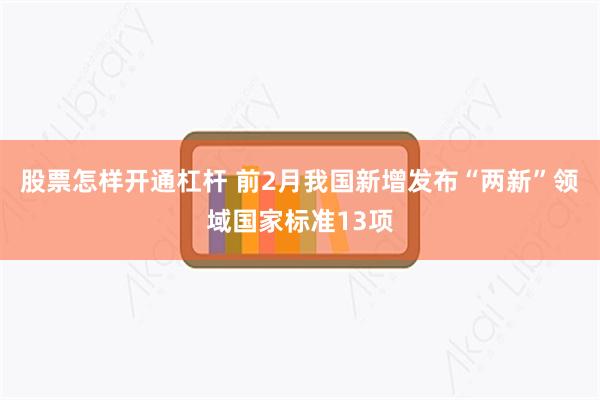 股票怎样开通杠杆 前2月我国新增发布“两新”领域国家标准13项