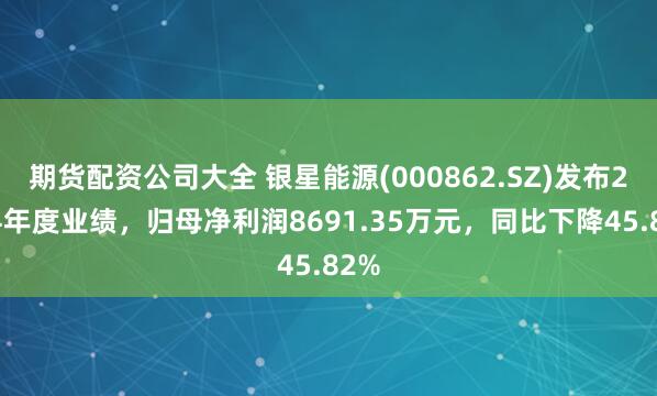 期货配资公司大全 银星能源(000862.SZ)发布2024年度业绩，归母净利润8691.35万元，同比下降45.82%