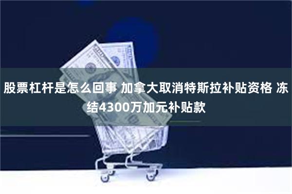 股票杠杆是怎么回事 加拿大取消特斯拉补贴资格 冻结4300万加元补贴款