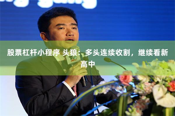 股票杠杆小程序 头狼：多头连续收割，继续看新高中