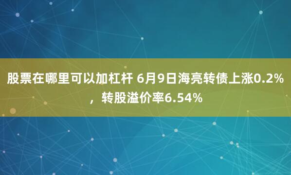股票在哪里可以加杠杆 6月9日海亮转债上涨0.2%，转股溢价率6.54%