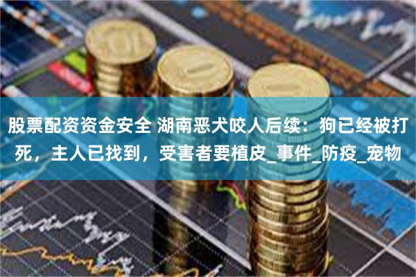 股票配资资金安全 湖南恶犬咬人后续：狗已经被打死，主人已找到，受害者要植皮_事件_防疫_宠物