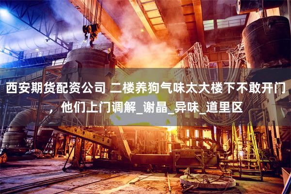 西安期货配资公司 二楼养狗气味太大楼下不敢开门，他们上门调解_谢晶_异味_道里区