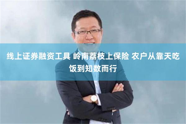线上证券融资工具 岭南荔枝上保险 农户从靠天吃饭到知数而行